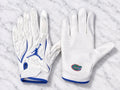 AA Florida gator glove